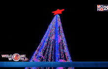 ออสเตรเลียสร้างสถิติโลกประดับไฟต้นคริสต์มาสมากที่สุดในโลก