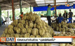 เปิดสวนทำเงินด้วย”บุฟเฟ่ต์ผลไม้”