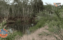 นายทุนบุกรุกป่าพรุเกาะนางคำกว่า 2,000 ไร่