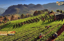 10 อันดับสถานที่ท่องเที่ยวในไทยที่ชาวจีนให้ความนิยม