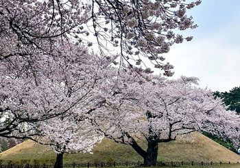 “พ็อตก็อต” ไม่ได้มีดีแค่ถ่ายรูป เทรนด์ “เที่ยวฮีลใจ” ดันเกาหลีขึ้นลิสต์ปลายทางยอดนิยม