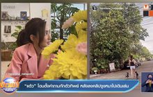 “แต้ว” โดนตั้งคำถามกักตัวทิพย์ หลังลงคลิปจูงหมาไปเดินเล่น 