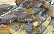 กองทัพมด ลอบขนเนื้อเถื่อนทะลักชายแดน