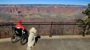 มะเร็ง แล้วไง? คุณยายวัย 90  ใช้เวลาบั้นปลาย เติมเต็มชีวิต ตะลอนเที่ยว ทำตามฝัน