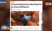 ​ถุงพลาสติกสร้างมาเพื่อแก้ปัญหาโลกร้อน แต่เราใช้กันผิด