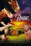 Babe เบ๊บ หมูน้อยหัวใจเทวดา