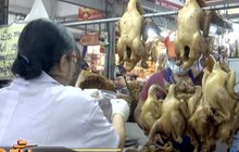 พบตัวอย่างอาหารที่ไม่ปลอดภัย จ.เชียงใหม่