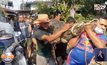 จับ”จระเข้” ยาว3เมตร โผล่นอนในชุมชนย่านบางปู