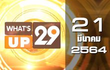 What’s up 29 21-03-64