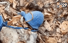 เร่งหาเบาะแสสาวถูกฆ่าเปลือย