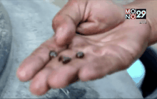 ชาวบ้านร้องน้ำประปาเปื้อนโคลนกว่า 10 ปี 