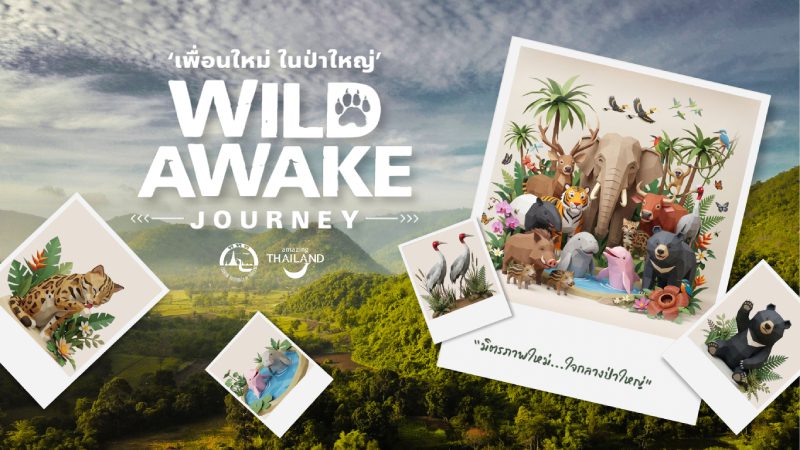 WILD AWAKE JOURNEY