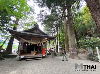 ดื่มด่ำตำนานเทพเจ้ามังกร ณ ศาลเจ้าเท็นโซ ยูฟุอิน ญี่ปุ่น