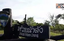 นทท.คึกคักแห่ชมทะเลหมอกห้วยน้ำดัง