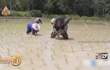 สุดฮา นักล่า ‘พรีเดเตอร์’ โผล่รับจ้างดำนาหาเงินกลับดาว