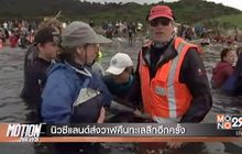 Motion News Break 2 13-02-60