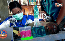 Good Morning Thailand 16-04-59