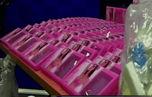 ออสเตรเลียแถลงจับกุมยาเสพติดครั้งใหญ่