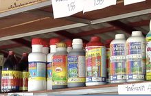 “มนัญญา” เตือนครอบครอง 3 สาร โดนโทษหนัก