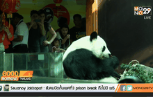 ช่วงช่วง-หลินฮุ่ย ร่วมฉลองตรุษจีน