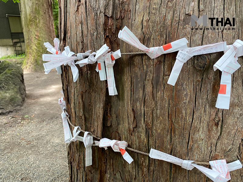 เซียมซี