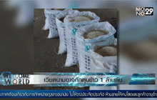 เวียดนามเก็บข้าวเข้าคลังนับล้านตัน