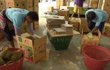 จีนเข้มนำเข้าผลไม้ป่วนตลาดทุเรียนไทย