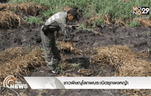 ชาวพิษณุโลกพบระเบิดซุกพงหญ้า