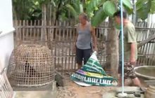 ชาวลำพูนเดือดร้อนหนัก โรคอหิวาต์ไก่ระบาด