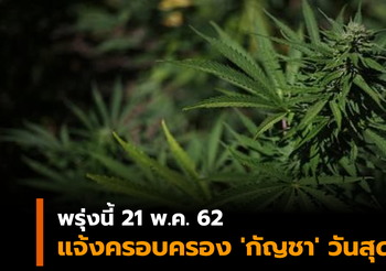 พรุ่งนี้ 21 พ.ค. 62 แจ้งครอบครอง ‘กัญชา’ วันสุดท้าย!