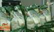 พาณิชย์ขายข้าวราคาถูก 5 แสนถุง 24 ส.ค.นี้