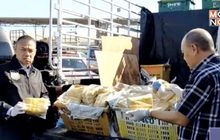 จับแก๊งโดเรมอน ขนยาบ้า 1.2 ล้านเม็ด ส่งขายภาคใต้