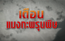 The Day News Update 02-05-59