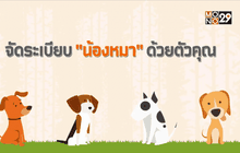 จัดระเบียบ “น้องหมา” ด้วยตัวคุณ