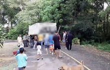 เร่งติดป้ายเตือน “ระวังช้างป่า” หลังถูกรถพ่วงชนตาย