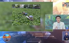 ชื่นชม 2 นรต.ลงน้ำช่วยเรือติดผักตบชวา