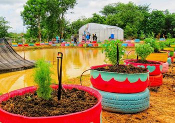 บี.กริม จับมือ มูลนิธิมีชัย วีระไวทยะ เดินหน้าโครงการ “บี.กริม บวร” จัดกิจกรรมนำร่อง “จัดตั้งแปลงเกษตรขจัดความยากจน” ที่จ.สระแก้ว