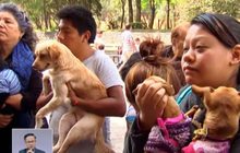 ชาวอิตาลีนำสัตว์เลี้ยงรับพรในวันนักบุญแอนโทนี