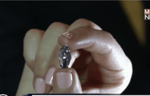 เปิดประมูลเพชรสีฟ้า-ตราจักรพรรดิที่ฮ่องกง