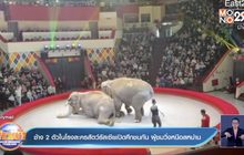 ช้าง 2 ตัวในโรงละครสัตว์รัสเซียเปิดศึกชนกัน ผู้ชมวิ่งหนีอลหม่าน