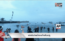 แข่งขันว่ายน้ำระยะทางไกลในเปรู