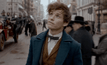 ตัวอย่างภาพยนตร์ “Fantastic Beasts and Where to Find Them”