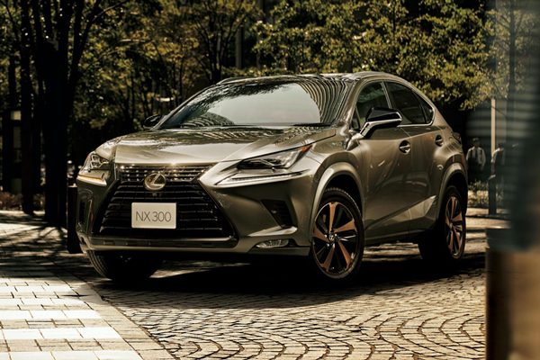 Lexus NX Bronze