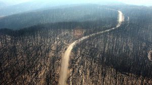 ไฟป่าออสเตรเลียเสียหาย 2 ล้านล้านบาท