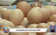 พาณิชย์เตรียมประกาศห้ามส่งออกไข่ไก่