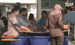 คาดกุ้งไทยปี 59 ฟื้นผลผลิตเพิ่ม 10 %