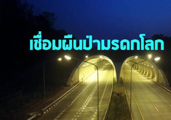 เปิดแล้ว ! ถนน-อุโมงค์ ‘กบินทร์บุรี-ปักธงชัย’ ต้นแบบทางเชื่อมผืนป่ามรดกโลกแห่งแรกของไทย