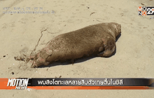 Motion News Break 2 (26-02-59)