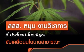 สสส. หนุน งานวิชาการ ชี้ ประโยชน์-โทษกัญชา ขับเคลื่อนนโยบายสาธารณะ