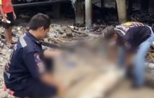 พบโลมาอิรวดีเกยฝั่งกลางหมู่บ้าน จ.ตราด